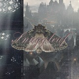SNUGGLEAF’s CIRCUMSTANCE