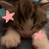 prettiest, kiwa