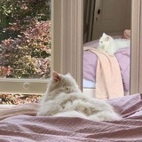 :3