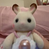 bubibab