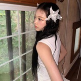 anin’s