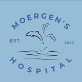 TRAINEE MOERGEN'S