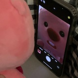 Loppy