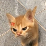Rembulan