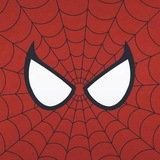 Spiderma(quia)'s assist.
