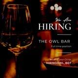 THE OWL COMPANY HIRING