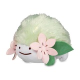 ara's wtb bot