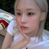 jelita