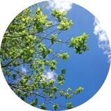 تــہ¦يـاقـوتـة💚
