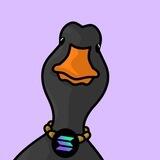 Solana Duck Airdrop