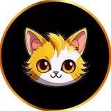Catx Official