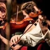 The Violinist, Noelle.