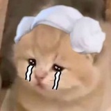 nono