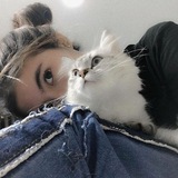 oreo