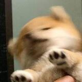 ♡♡♡