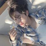 ㅤ𔓘 ˖ ◌⃘ ׄ ayyes 📓 ﾟ