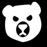 BearFiBot