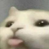 ._.