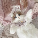 CecelBabu