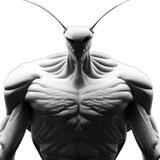 Insect Community Airdrop