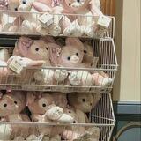 ִֶָ . ָ࣪ 🐇 Cal's Assist ૮₍ ˃⤙˂ ₎ა