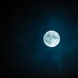 Night Pay
