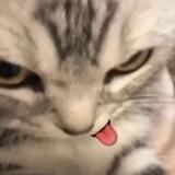 —``✿; 💤
