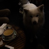 hi