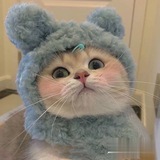 泰享受小助手