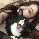 miaw!