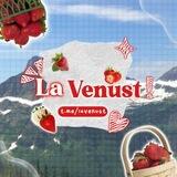 Lavenust