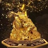 赵四清华北大高材生