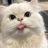 ellyna's mutual