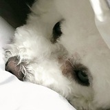 Sunghoon <3