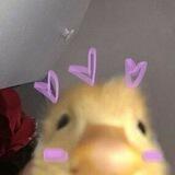 𝐢𝐧𝐭𝐞𝐫𝐦𝐞𝐝𝐢𝐚𝐫𝐲 𝐜𝐡𝐚𝐝𝐢𝐧 ʚɞ