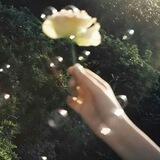 kama, endlessly