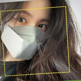 𝐇
