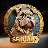 Bully Pad Airdrop