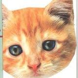Kitty, Meowy