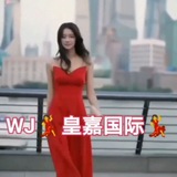 皇嘉机器人