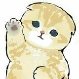 =͟͟͞͞♡ NadeLeine's Miaw 🐈