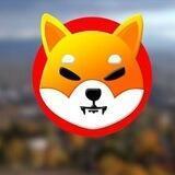 Legit Shib Airdrops