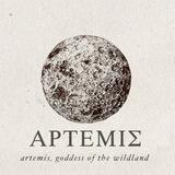 artemistip order's