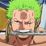 zoro wtb