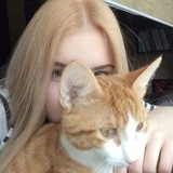 Abel's asistent