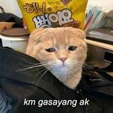 punya anak fuku