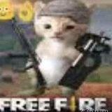 Catzhu.