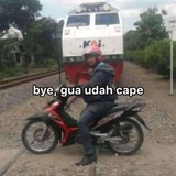 wleowleo