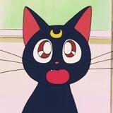 mew's bot.