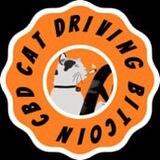 Cat Driving Bitcoin